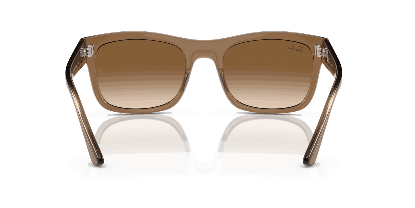 [Light Brown Lenses, Polished Transparent Light Brown Frame]