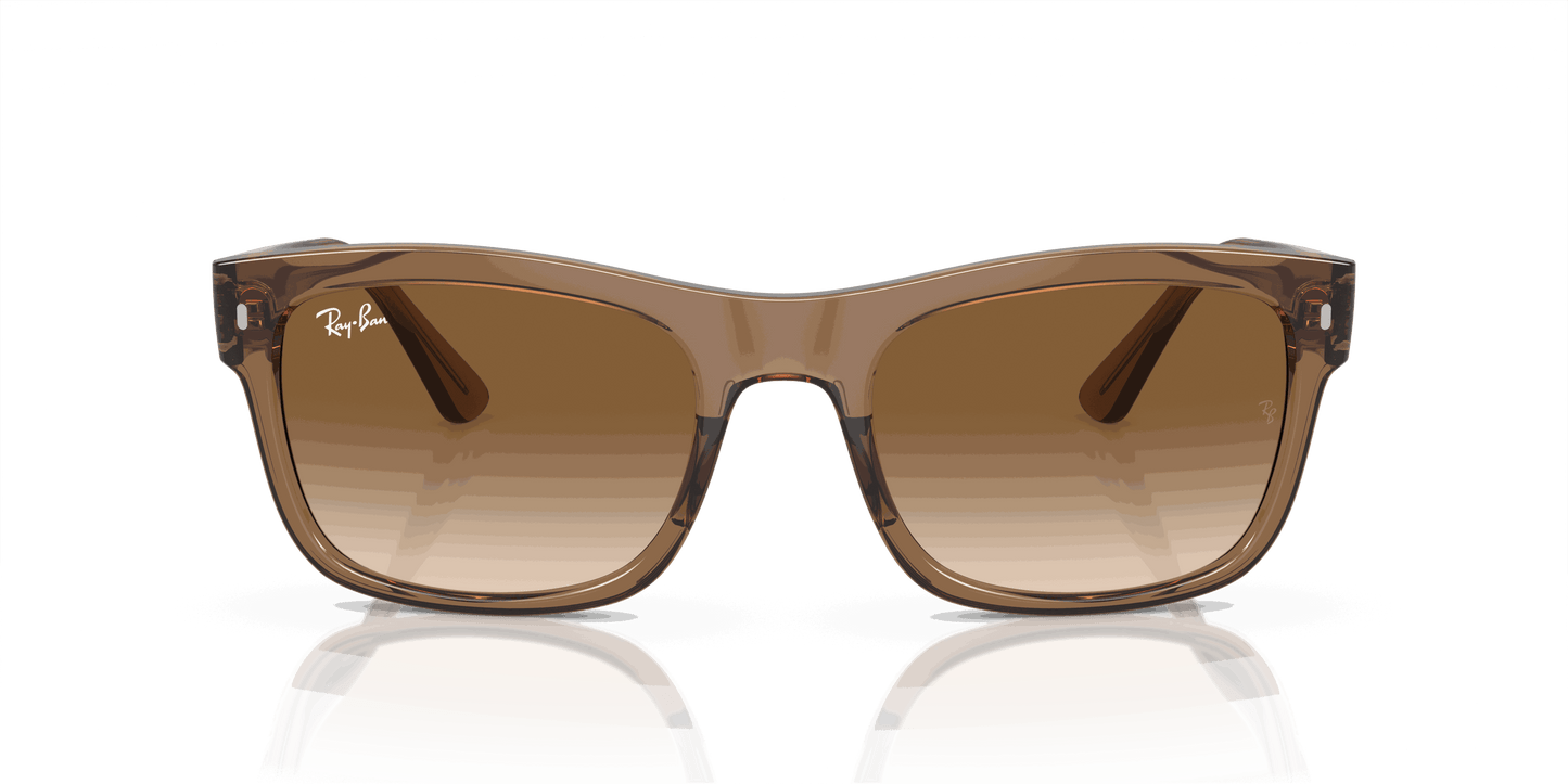 [Light Brown Lenses, Polished Transparent Light Brown Frame]