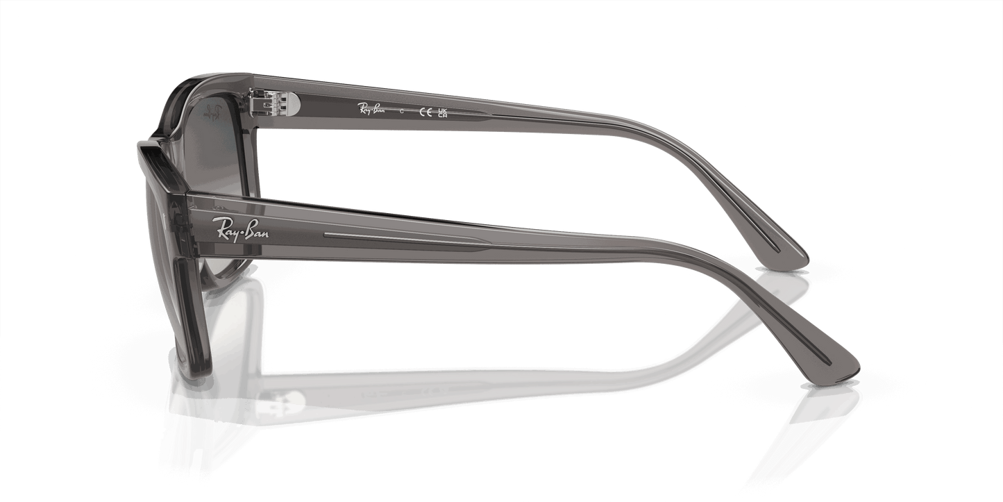 [Grey Lenses, Polished Opal Dark Grey Frame]