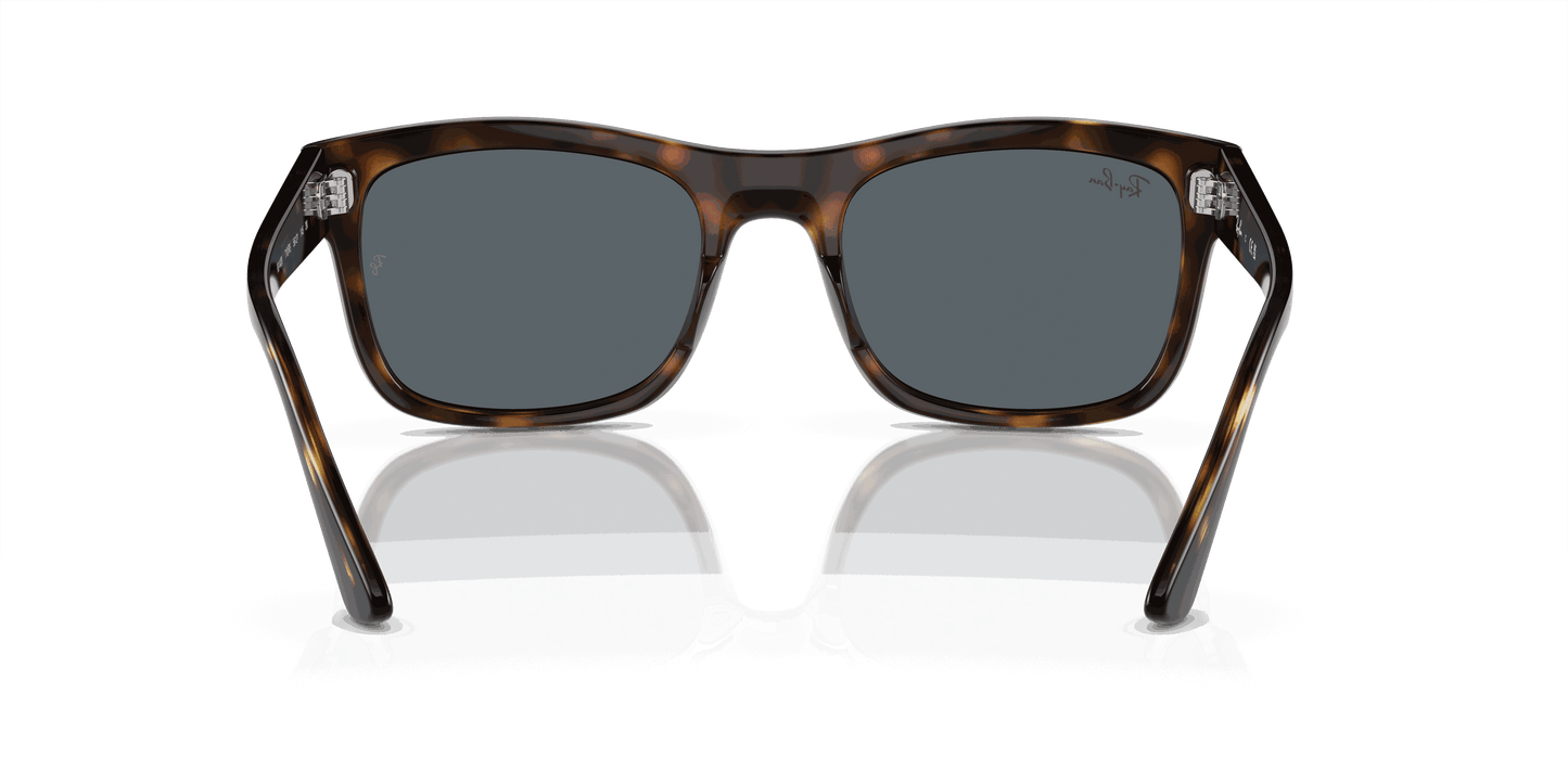 [Blue Lenses, Polished Havana Frame]