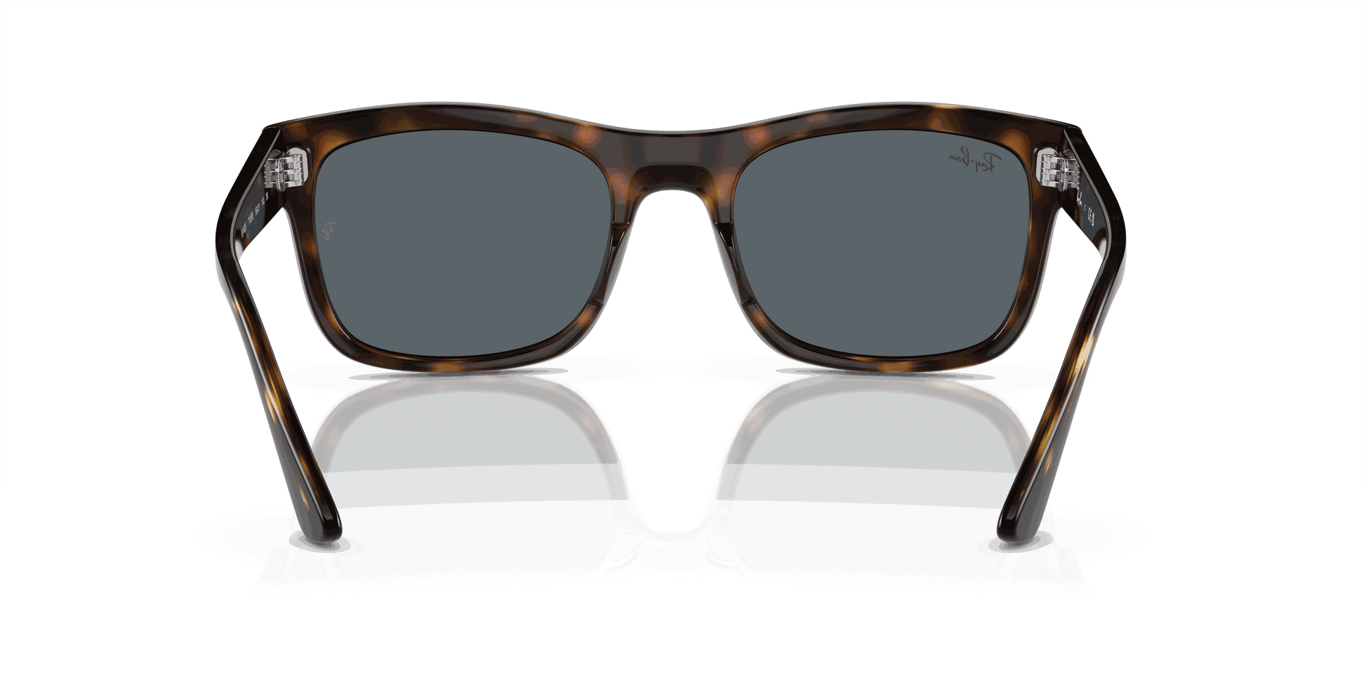 [Blue Lenses, Polished Havana Frame]