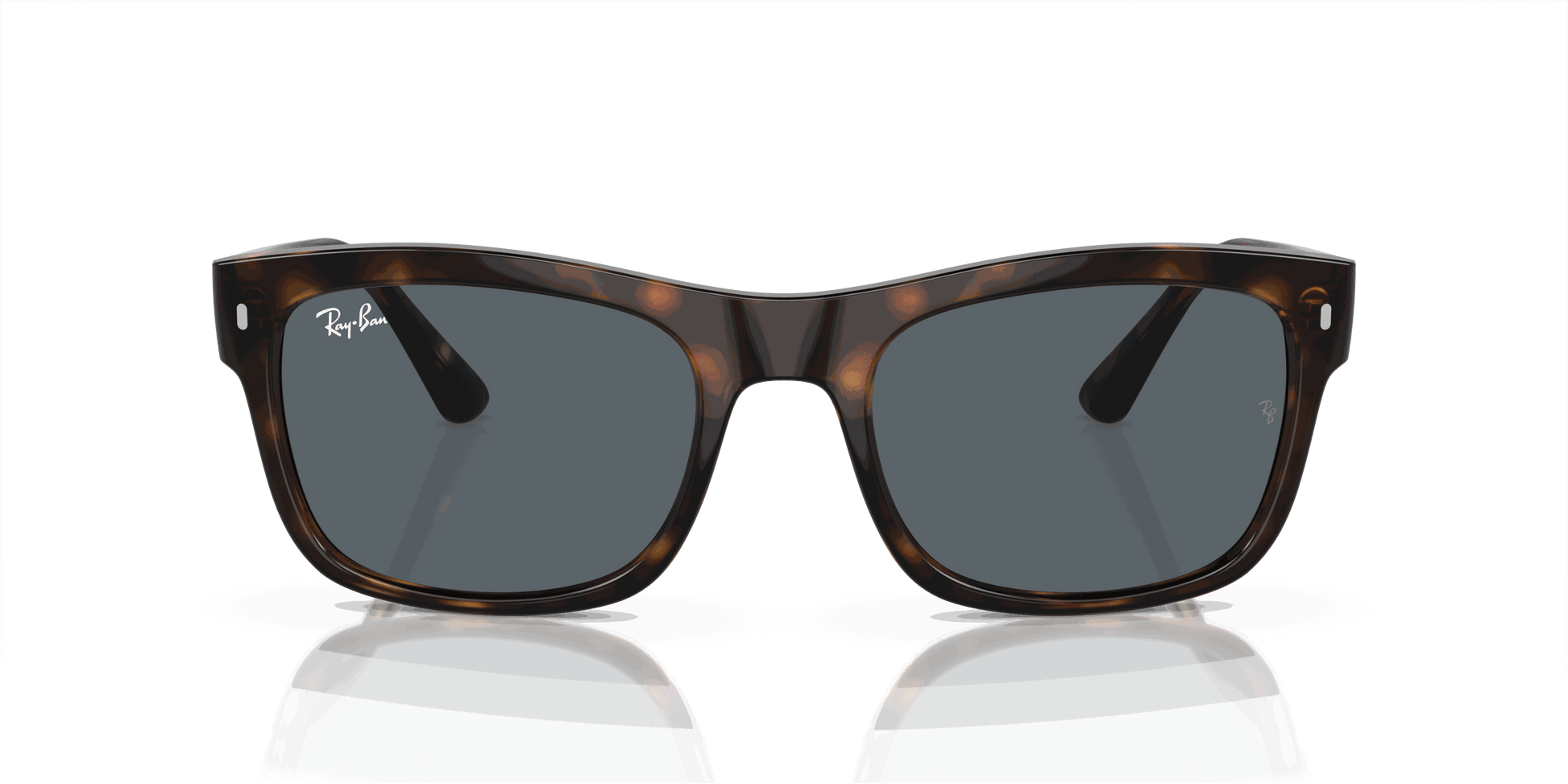[Blue Lenses, Polished Havana Frame]