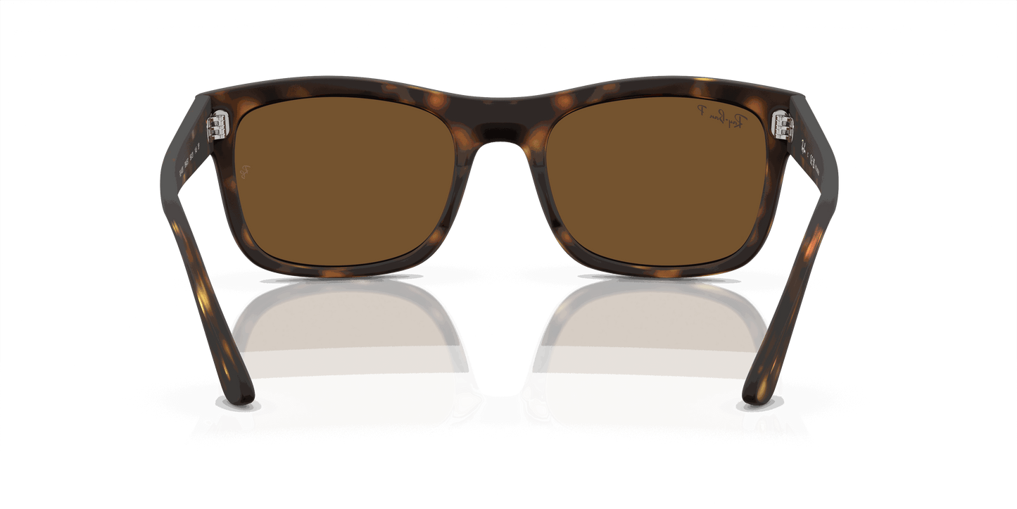 [Brown Lenses, Matte Havana Frame]