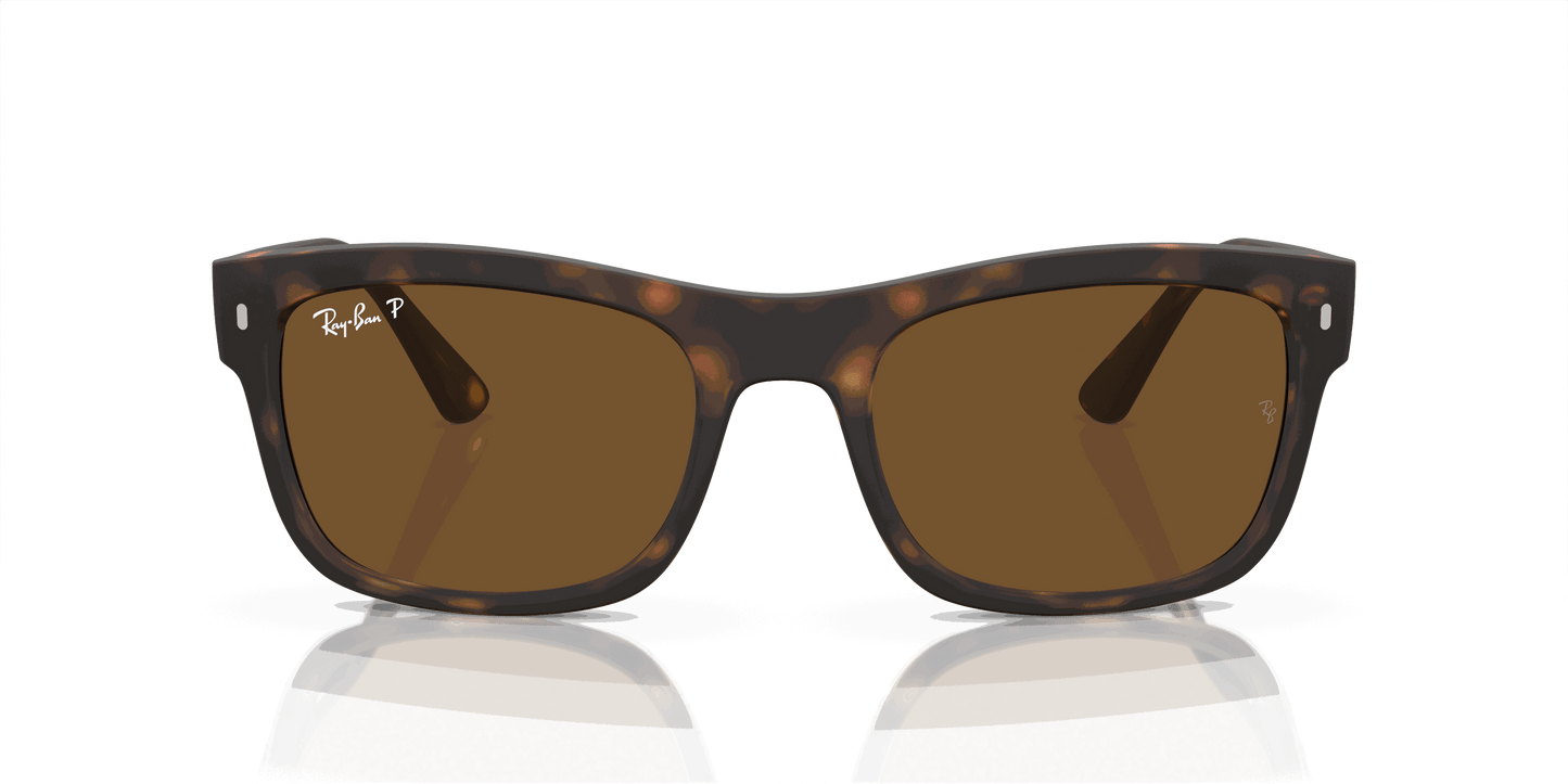 [Brown Lenses, Matte Havana Frame]