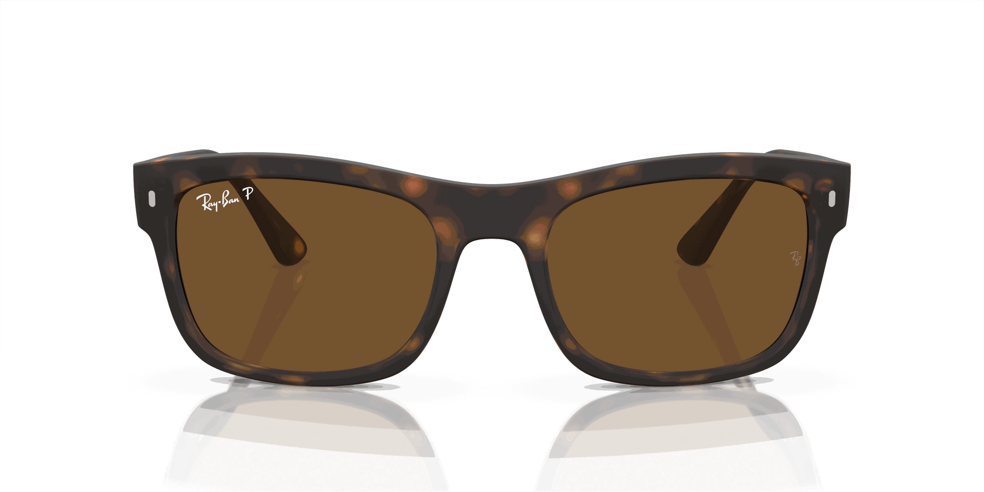 [Brown Lenses, Matte Havana Frame]