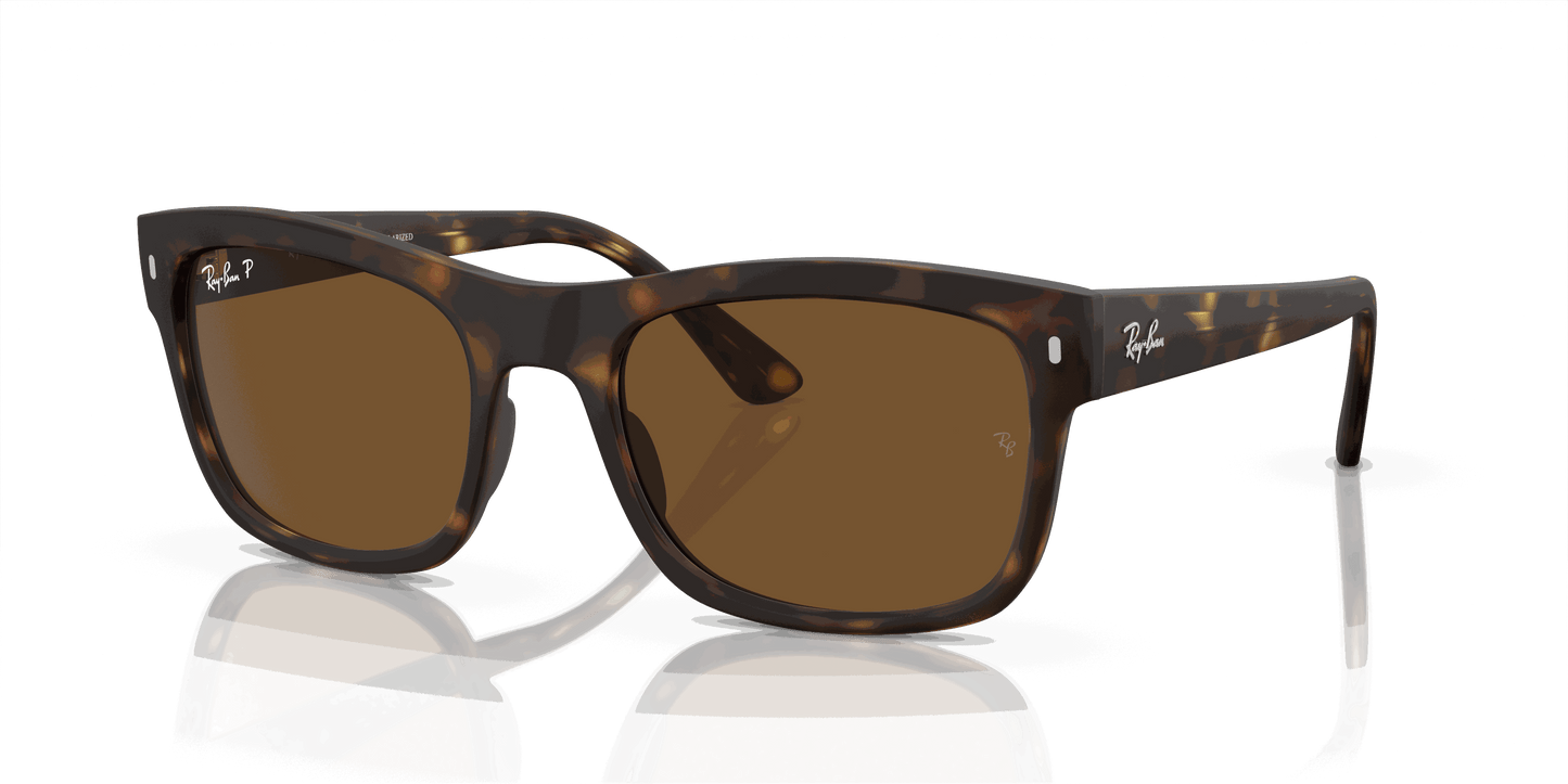 [Brown Lenses, Matte Havana Frame]