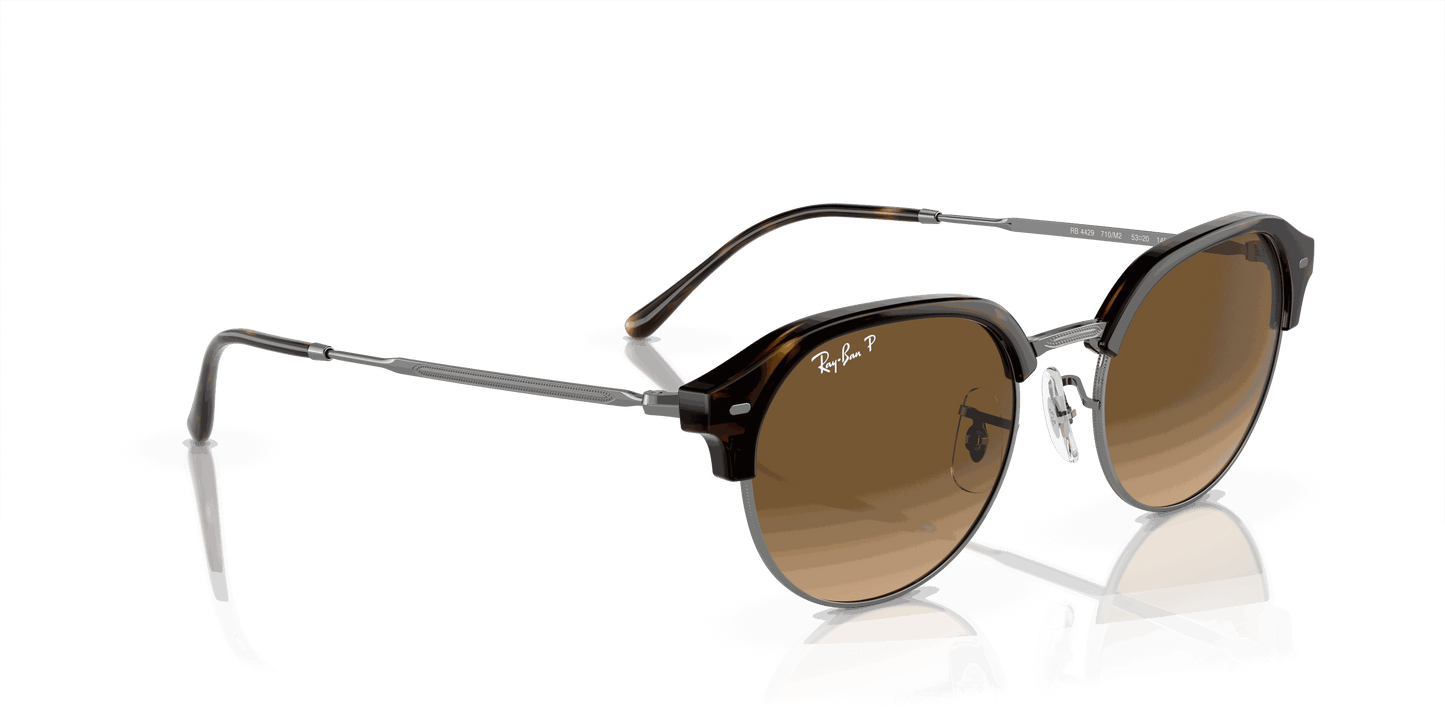 [Brown Lenses, Polished Havana On Gunmetal Frame]