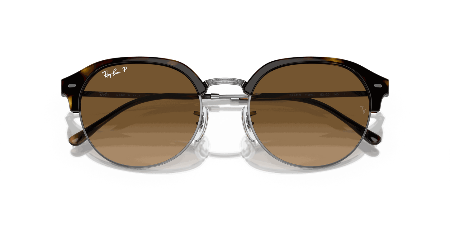 [Brown Lenses, Polished Havana On Gunmetal Frame]
