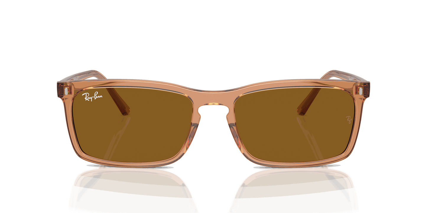 [Brown Lenses, Polished Transparent Brown Frame]