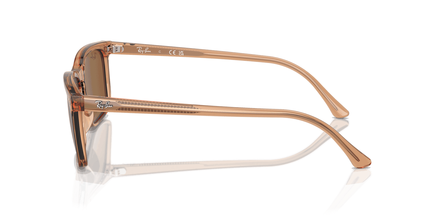 [Brown Lenses, Polished Transparent Brown Frame]
