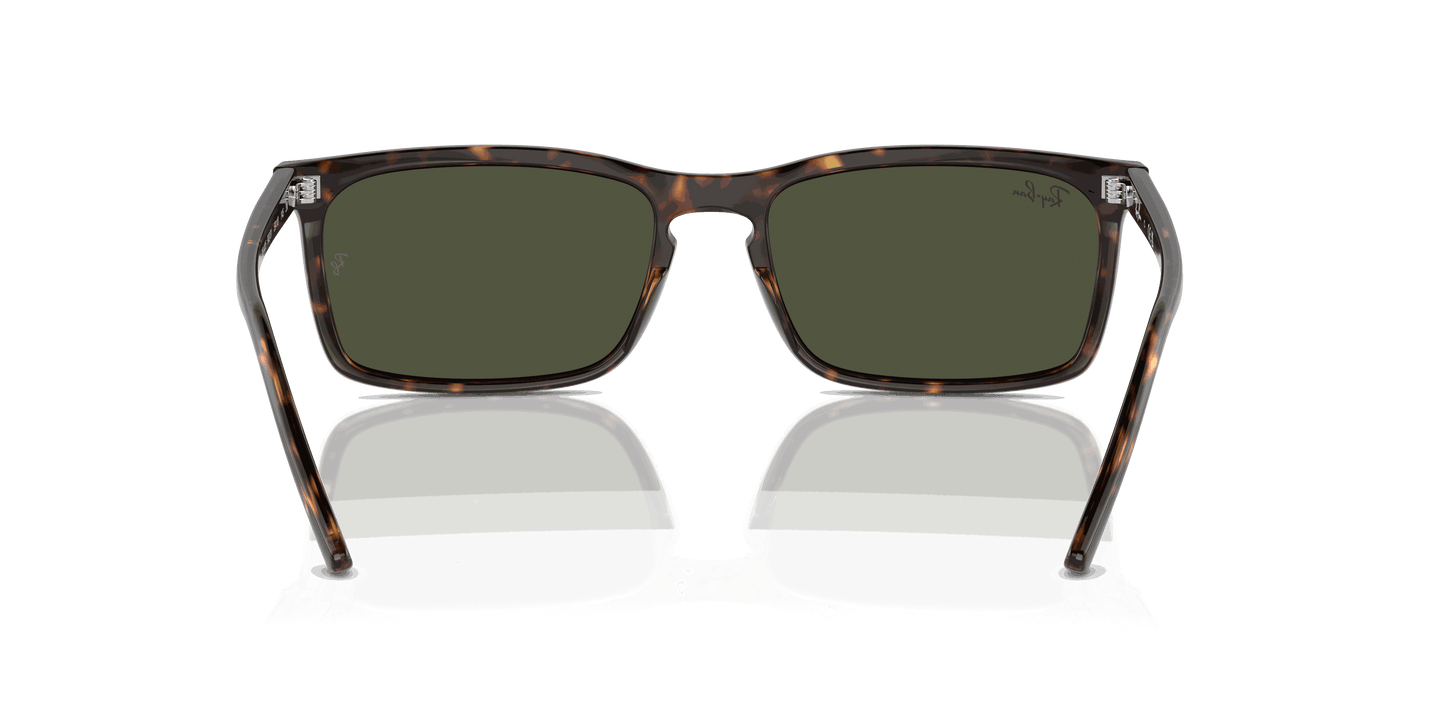 [Green Lenses, Polished Havana Frame]