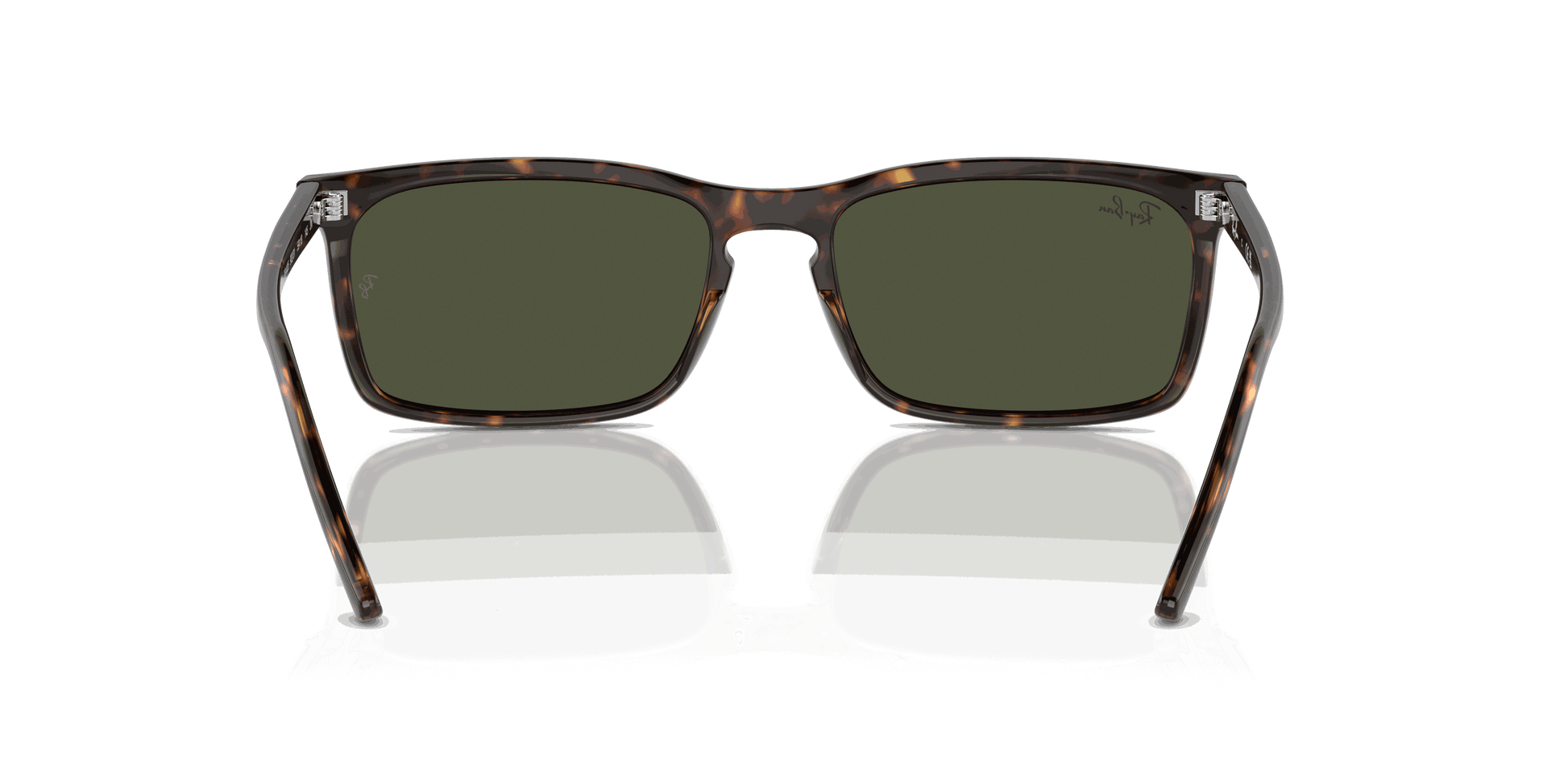 [Green Lenses, Polished Havana Frame]