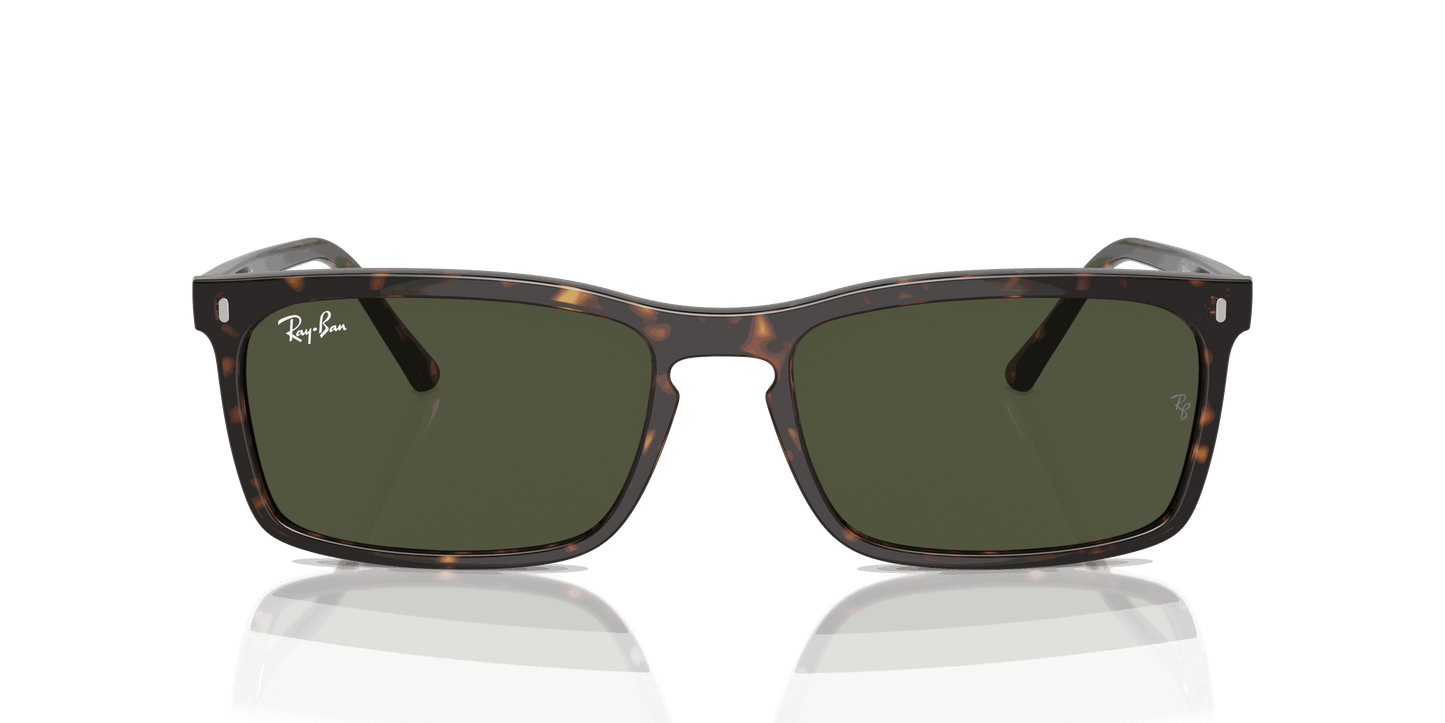 [Green Lenses, Polished Havana Frame]