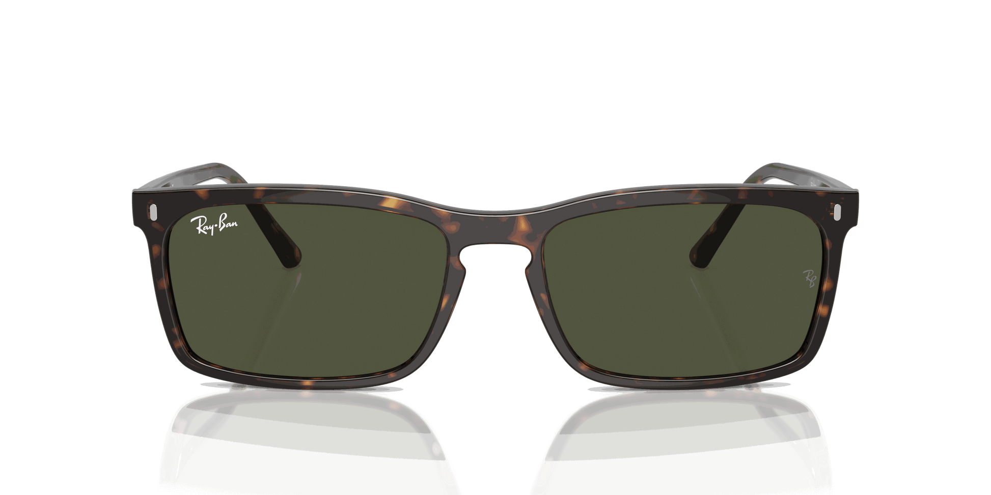[Green Lenses, Polished Havana Frame]
