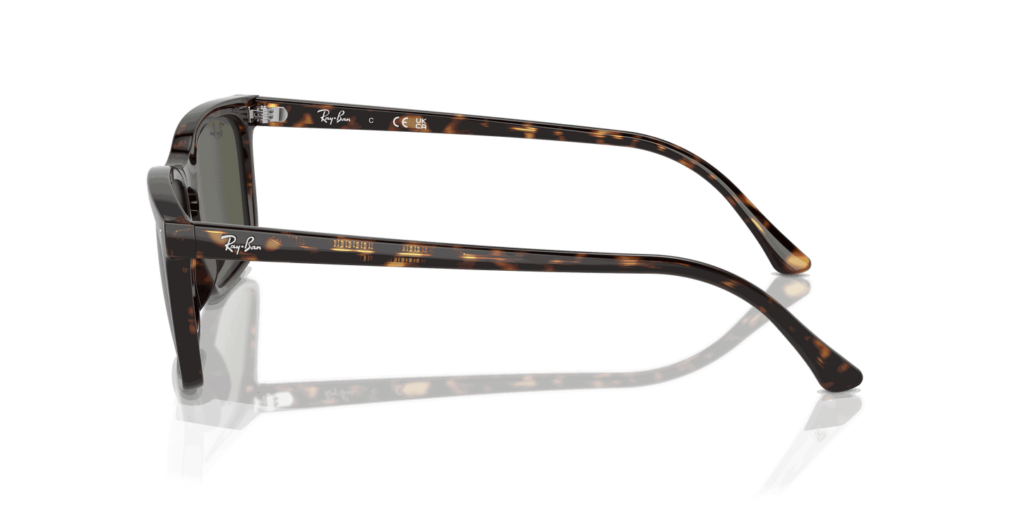 [Green Lenses, Polished Havana Frame]