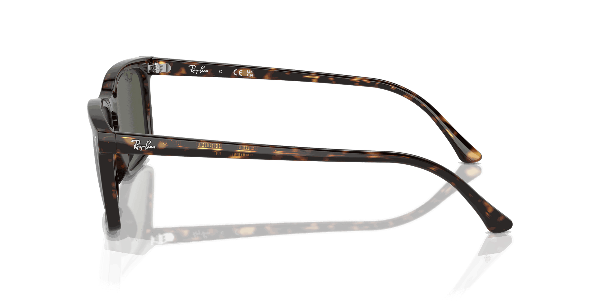 [Green Lenses, Polished Havana Frame]