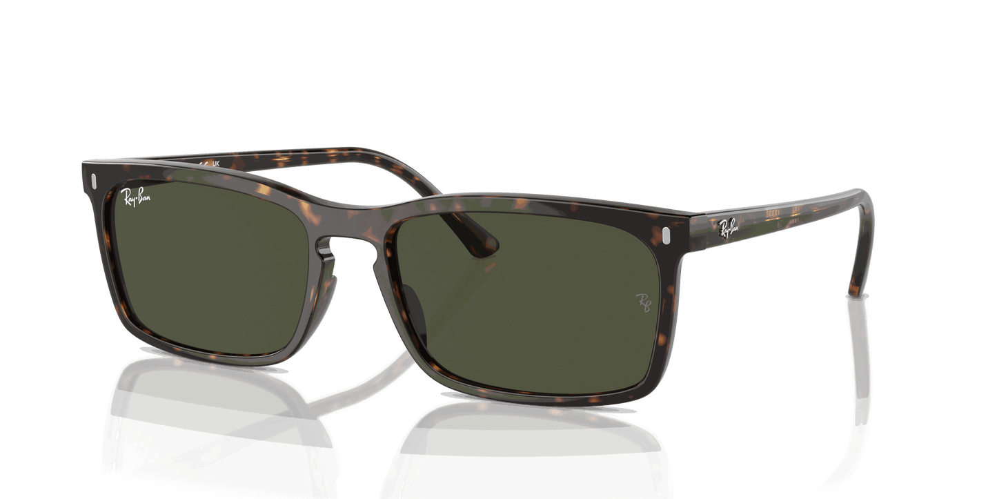 [Green Lenses, Polished Havana Frame]