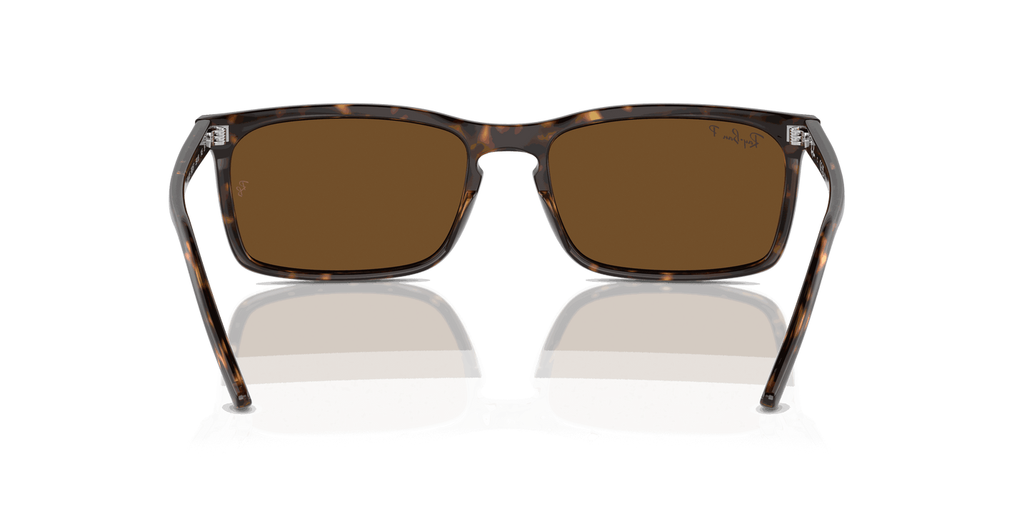 [Brown Lenses, Polished Havana Frame]
