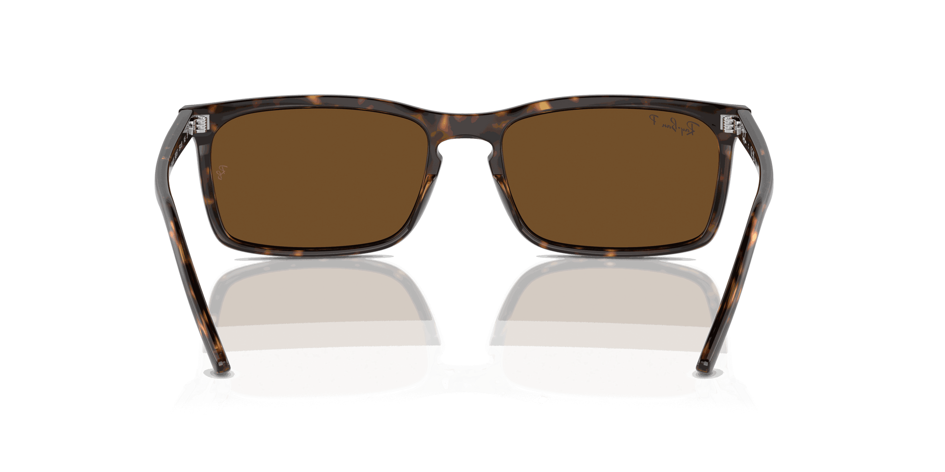[Brown Lenses, Polished Havana Frame]