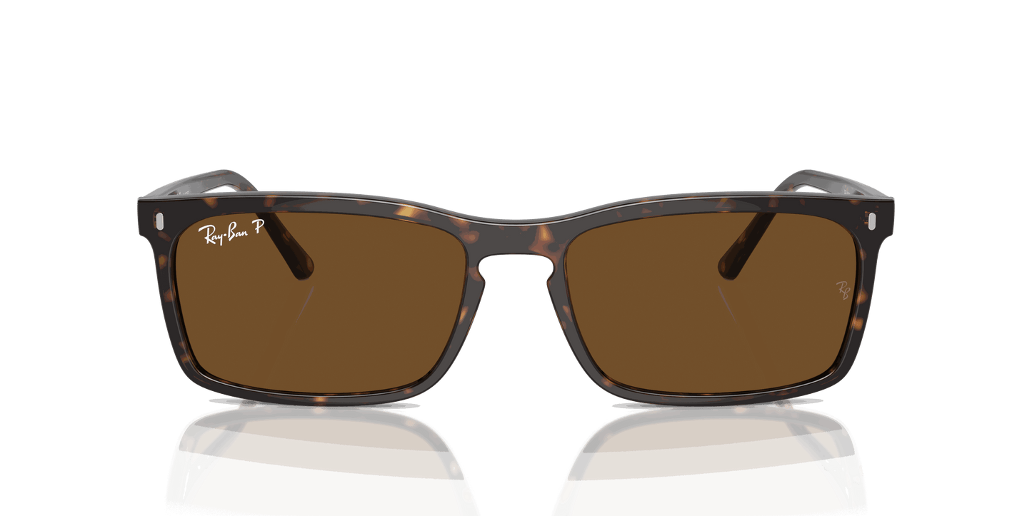 [Brown Lenses, Polished Havana Frame]