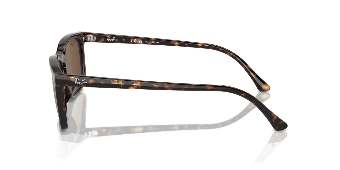 [Brown Lenses, Polished Havana Frame]