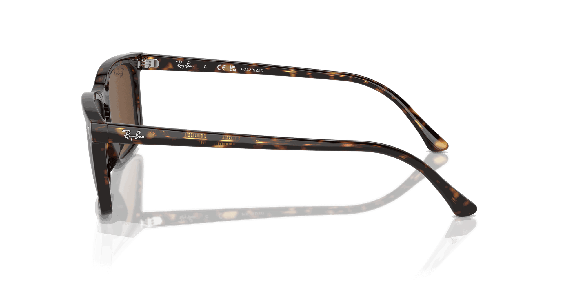 [Brown Lenses, Polished Havana Frame]