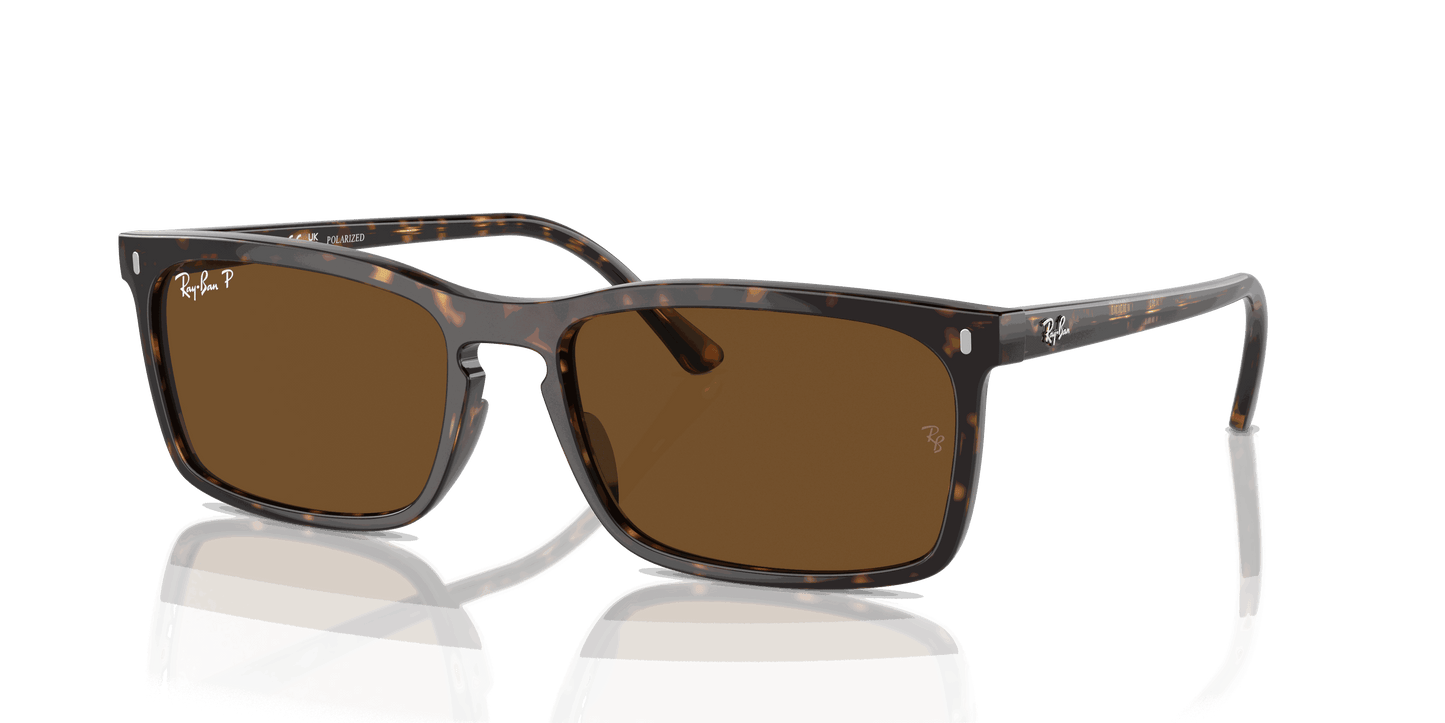 [Brown Lenses, Polished Havana Frame]