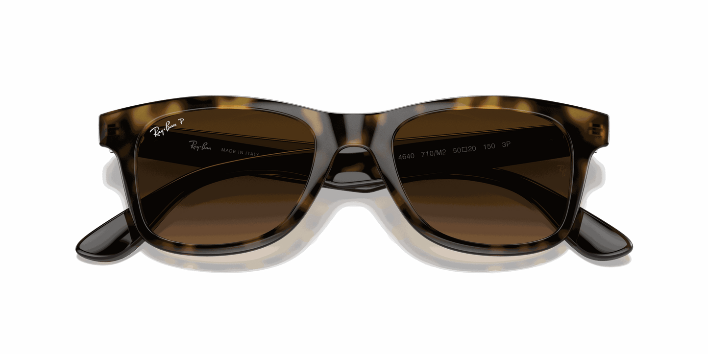 [Brown Lenses, Polished Light Havana Frame]