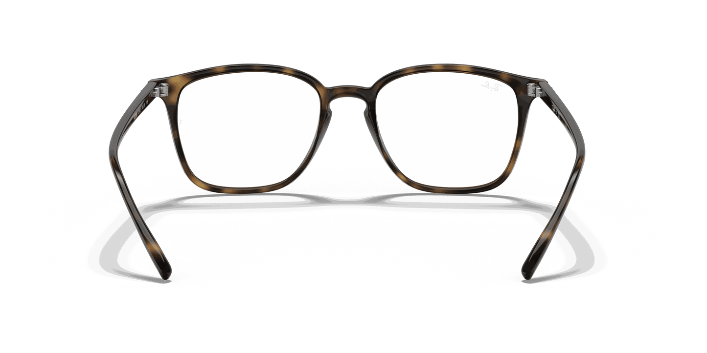 [Clear Lenses, Polished Havana Frame]