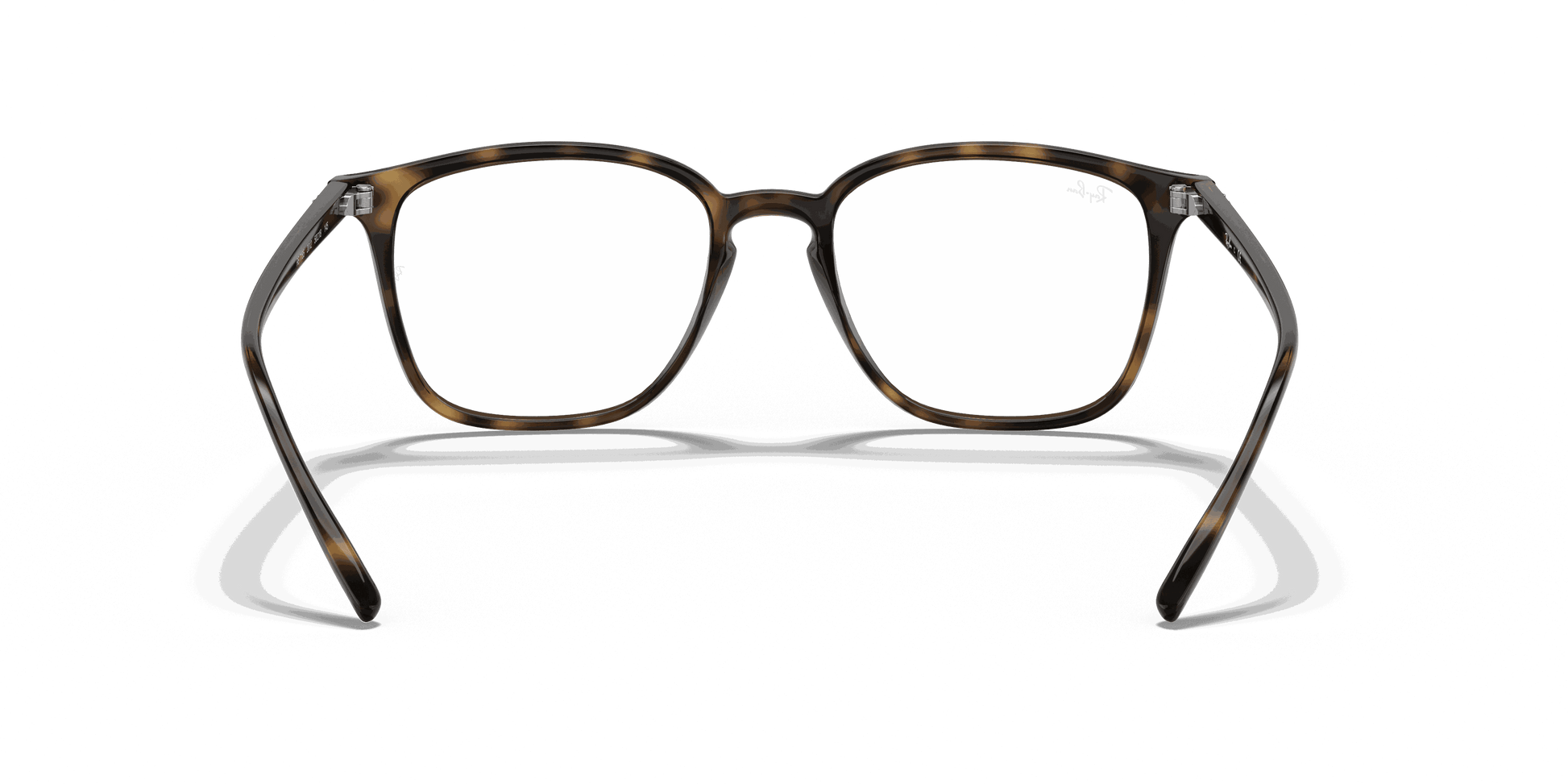 [Clear Lenses, Polished Havana Frame]