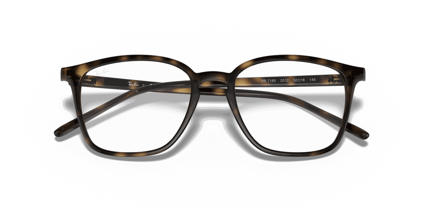 [Clear Lenses, Polished Havana Frame]