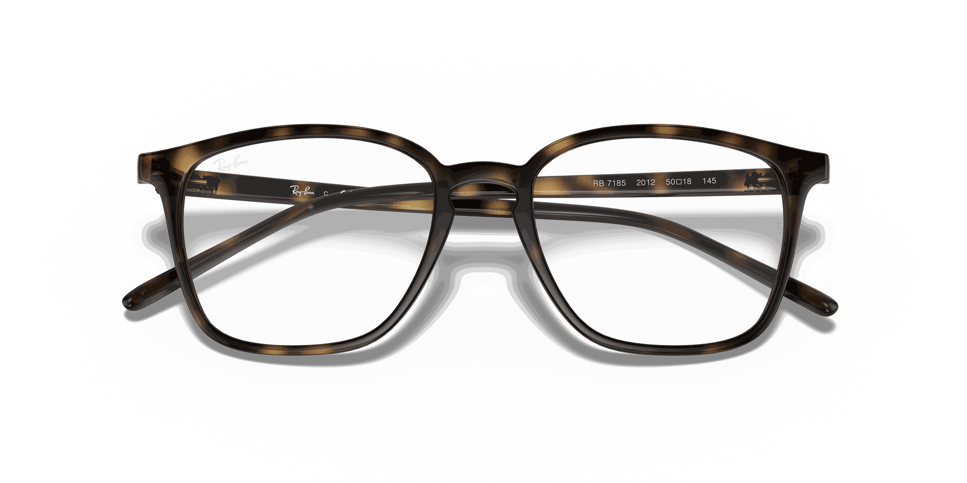 [Clear Lenses, Polished Havana Frame]