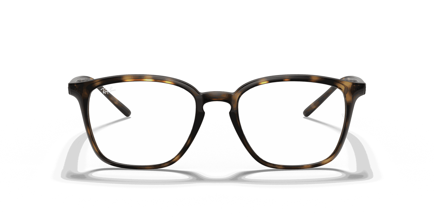 [Clear Lenses, Polished Havana Frame]