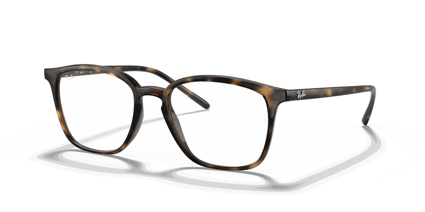 [Clear Lenses, Polished Havana Frame]