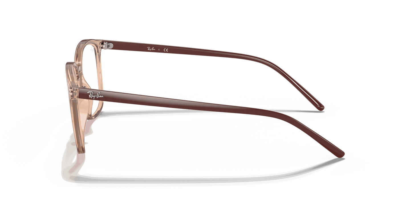 [Clear Lenses, Polished Light Brown Frame]