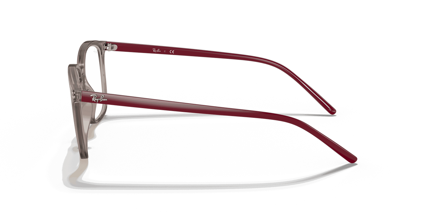 [Clear Lenses, Polished Transparent Grey Frame]