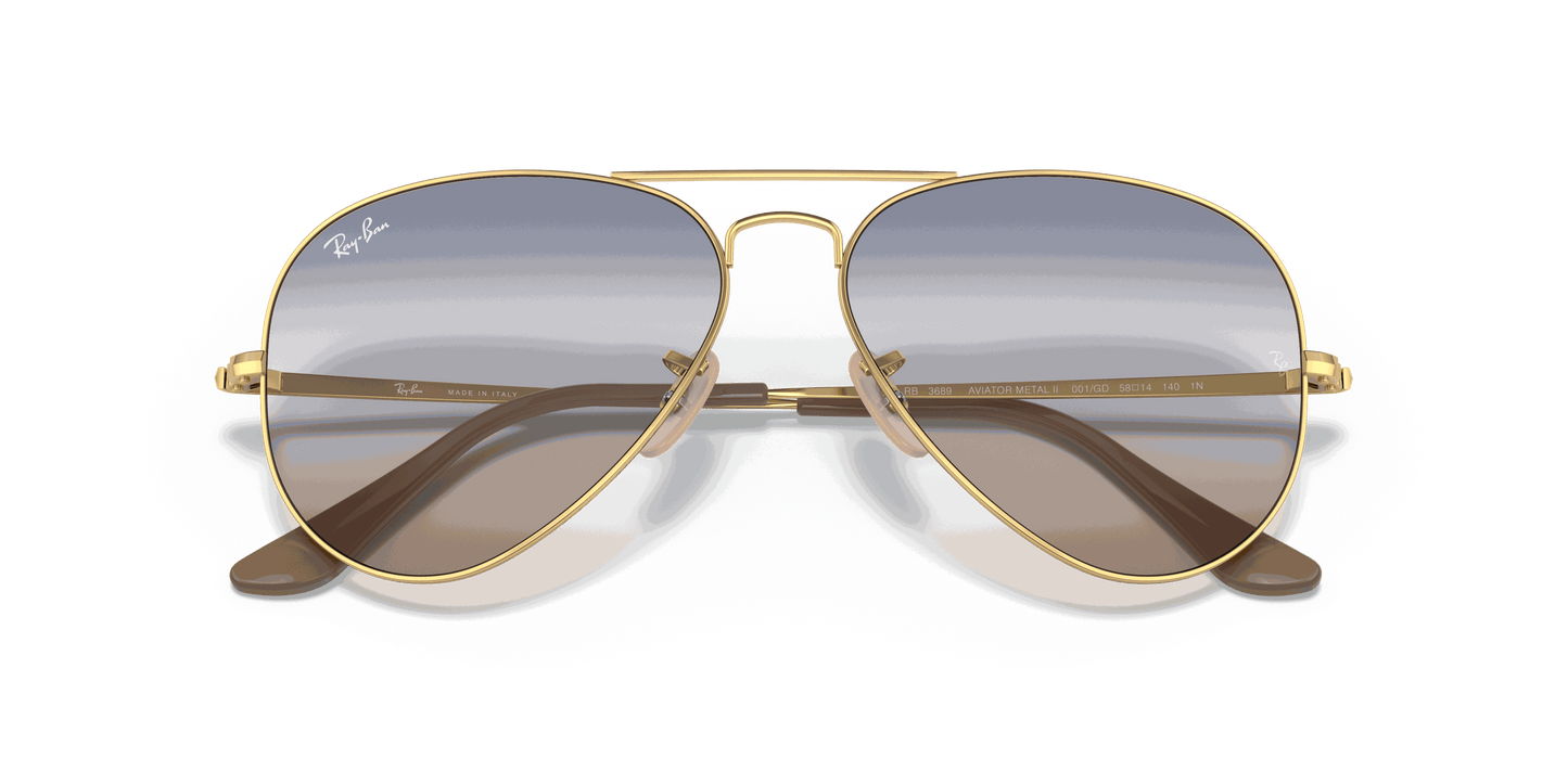 [Blue/Brown Gradient Lenses, Polished Arista Gold Frame]