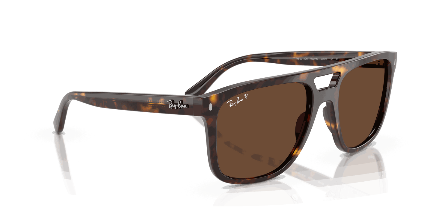 [Polar Brown Lenses, Polished Havana Frame]