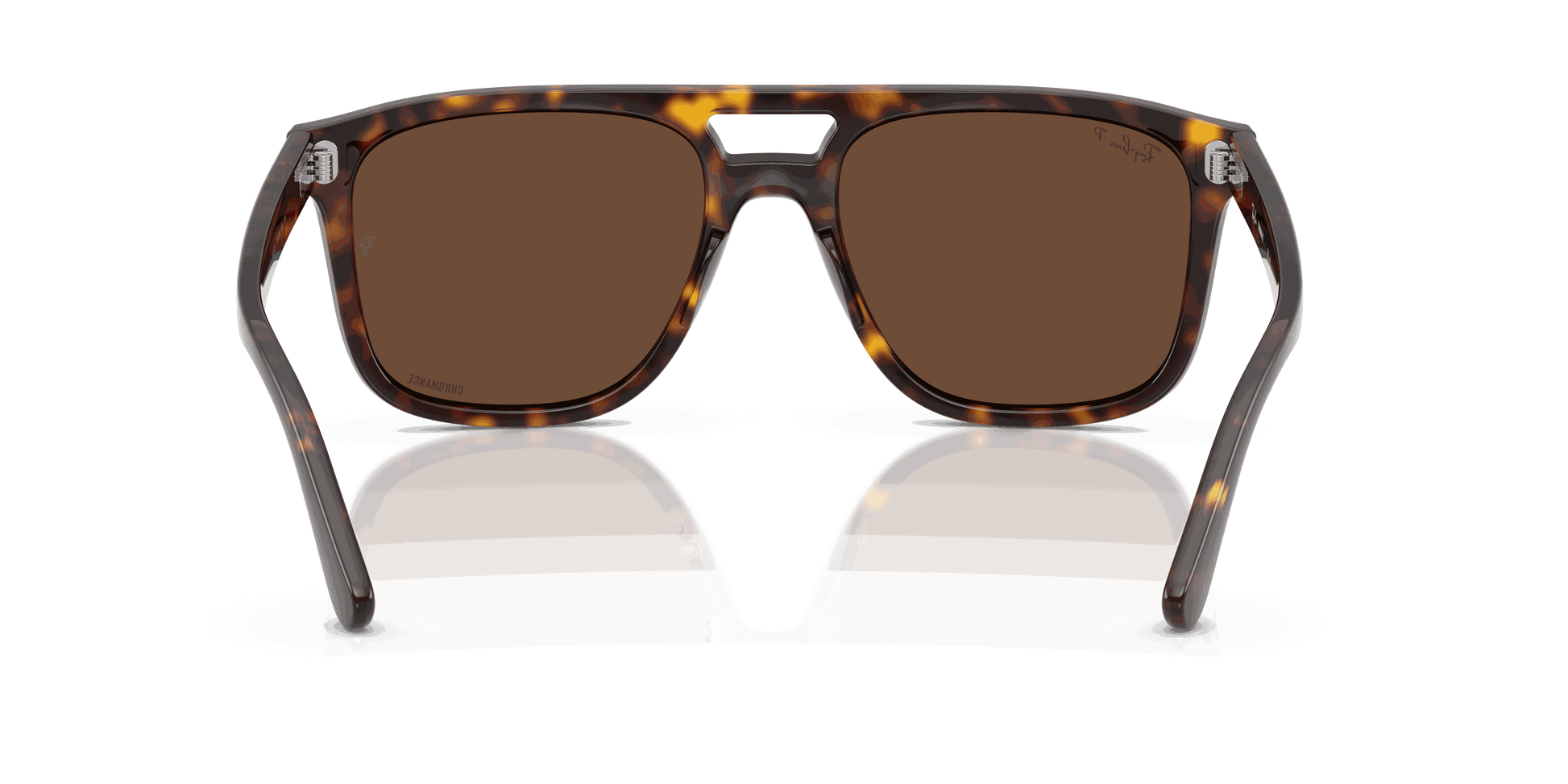 [Polar Brown Lenses, Polished Havana Frame]