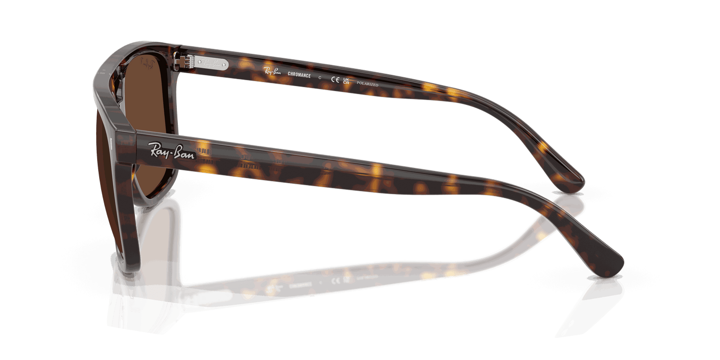 [Polar Brown Lenses, Polished Havana Frame]