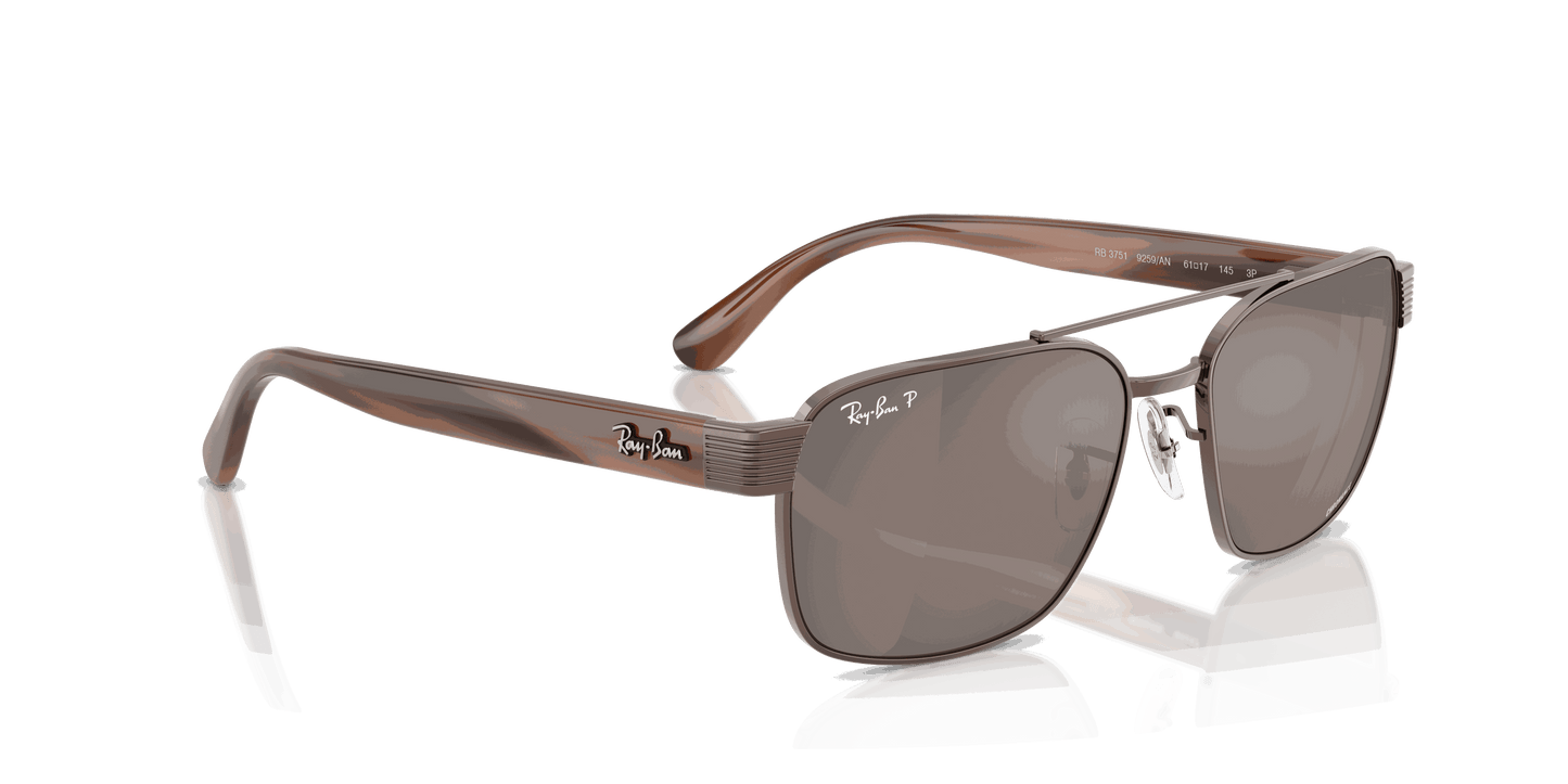 [Polar Brown Lenses, Polished Copper Frame]