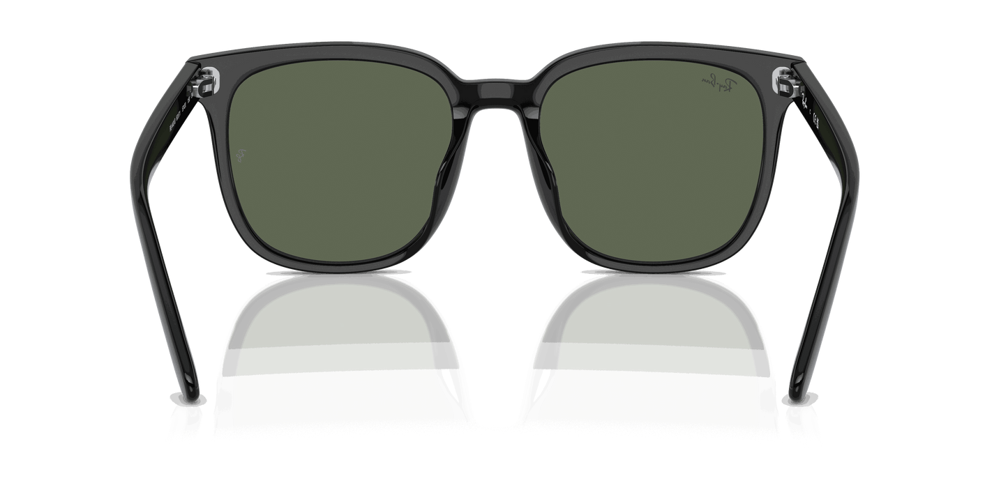 [Dark Green Lenses, Polished Black Frame]