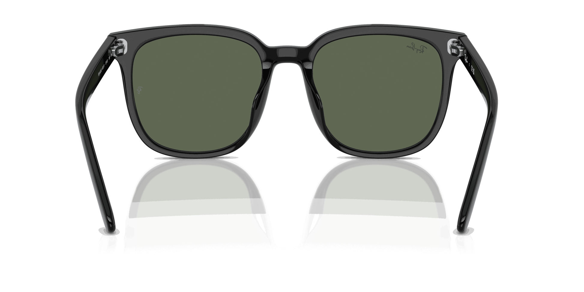 [Dark Green Lenses, Polished Black Frame]