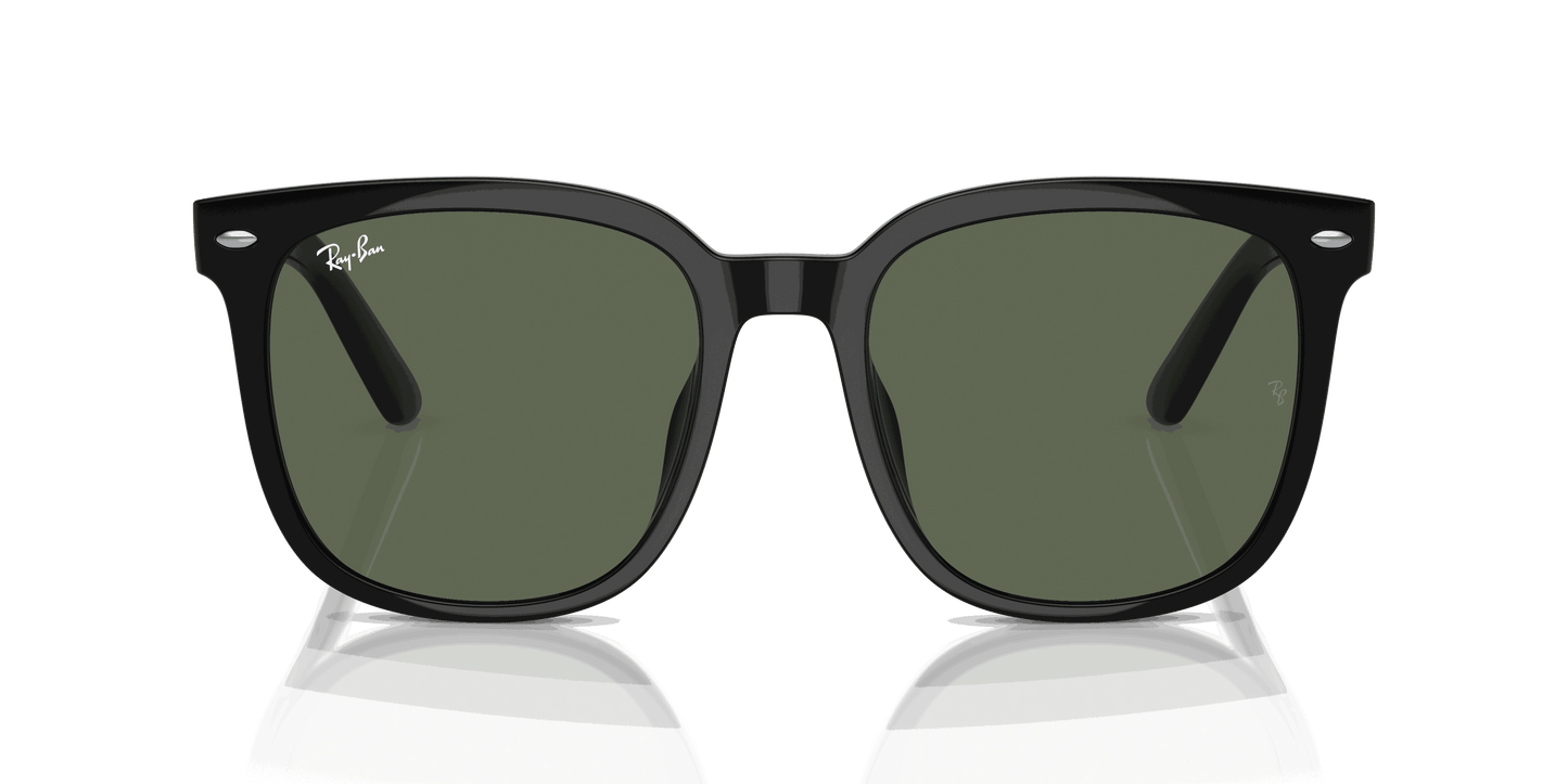 [Dark Green Lenses, Polished Black Frame]
