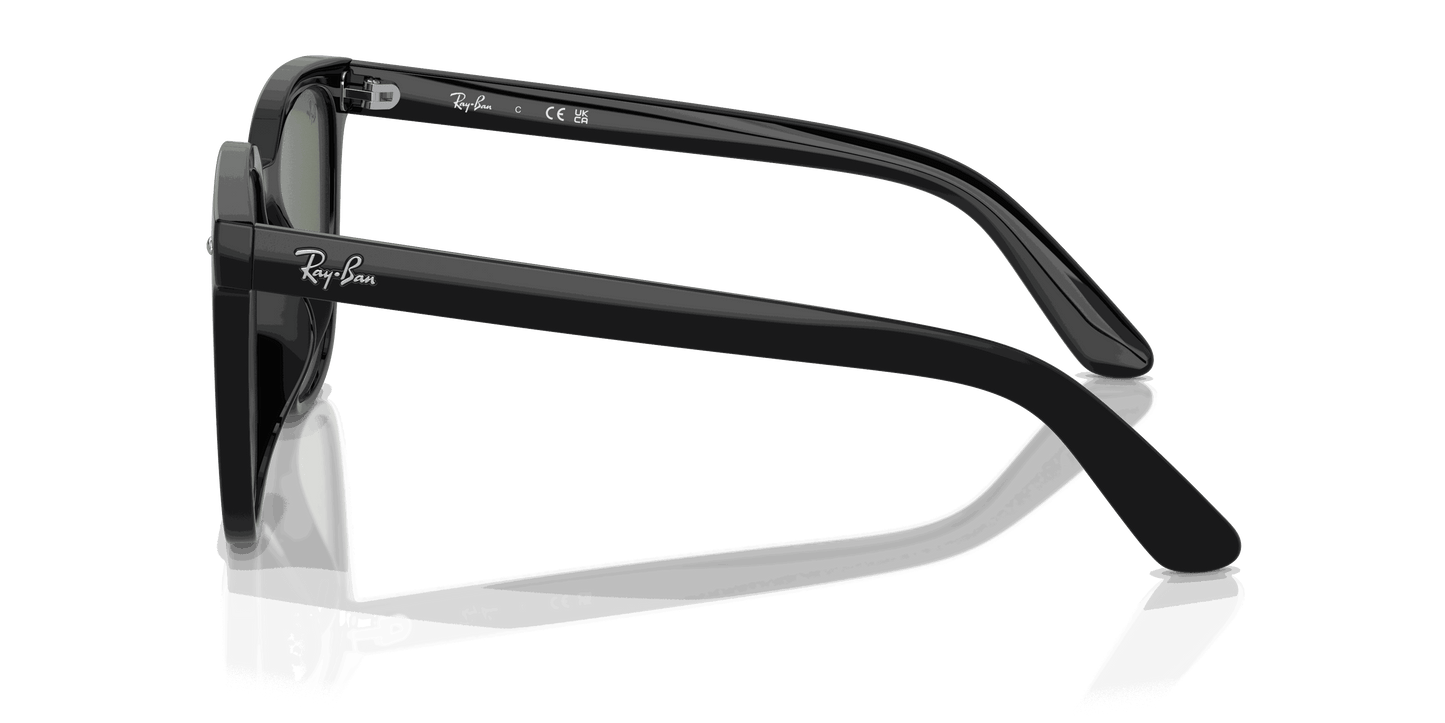 [Dark Green Lenses, Polished Black Frame]