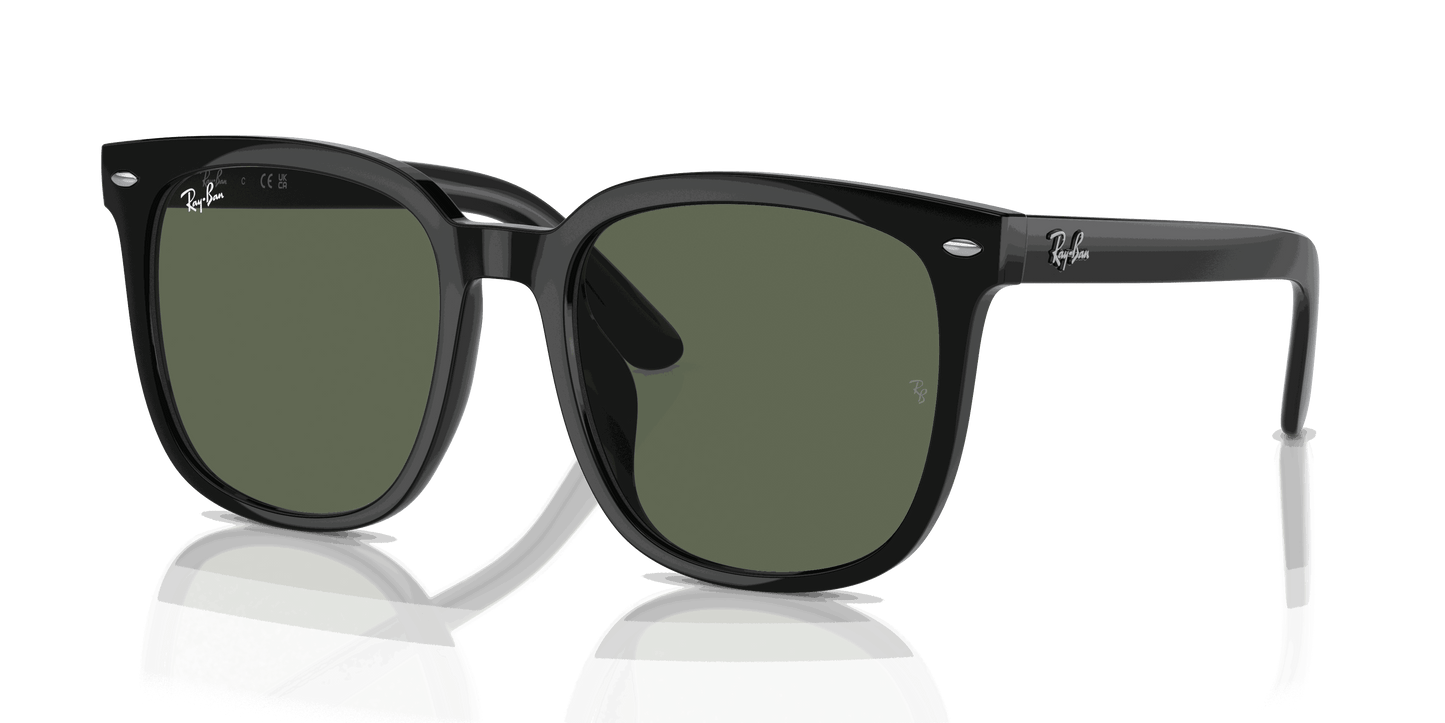 [Dark Green Lenses, Polished Black Frame]
