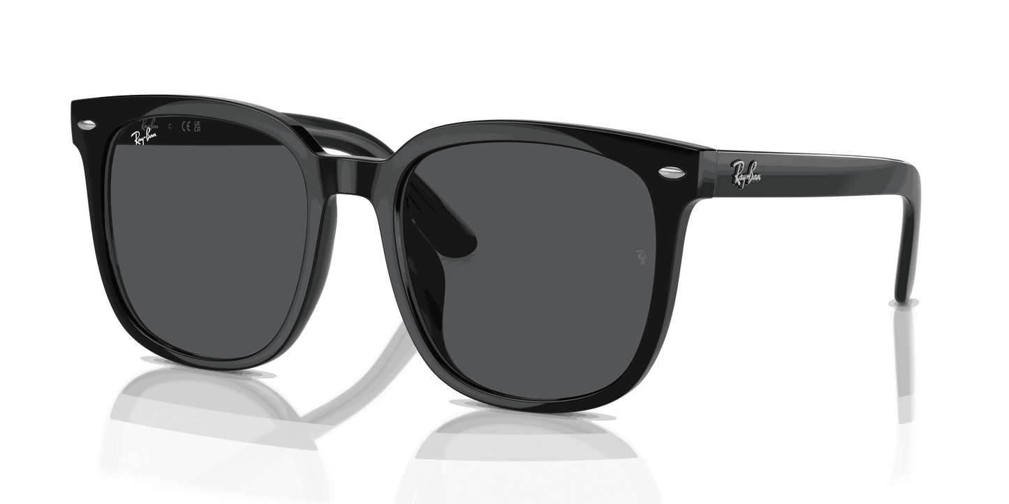 [Dark Grey Lenses, Polished Black Frame]