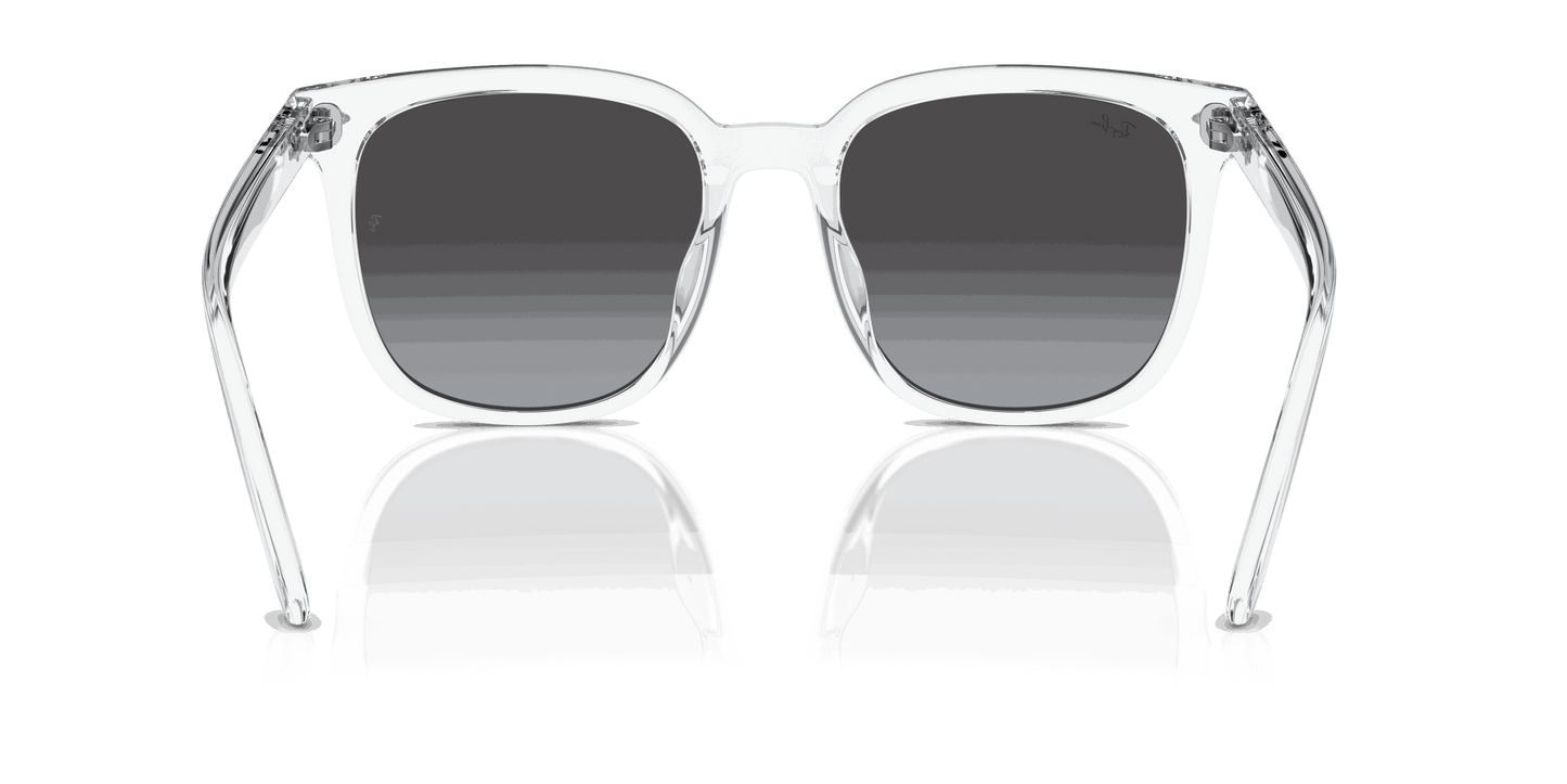 [Grey Lenses, Polished Transparent Frame]