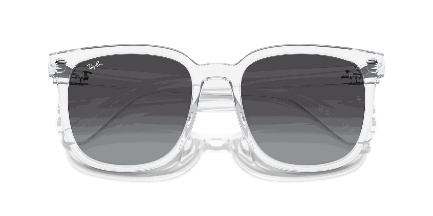 [Grey Lenses, Polished Transparent Frame]