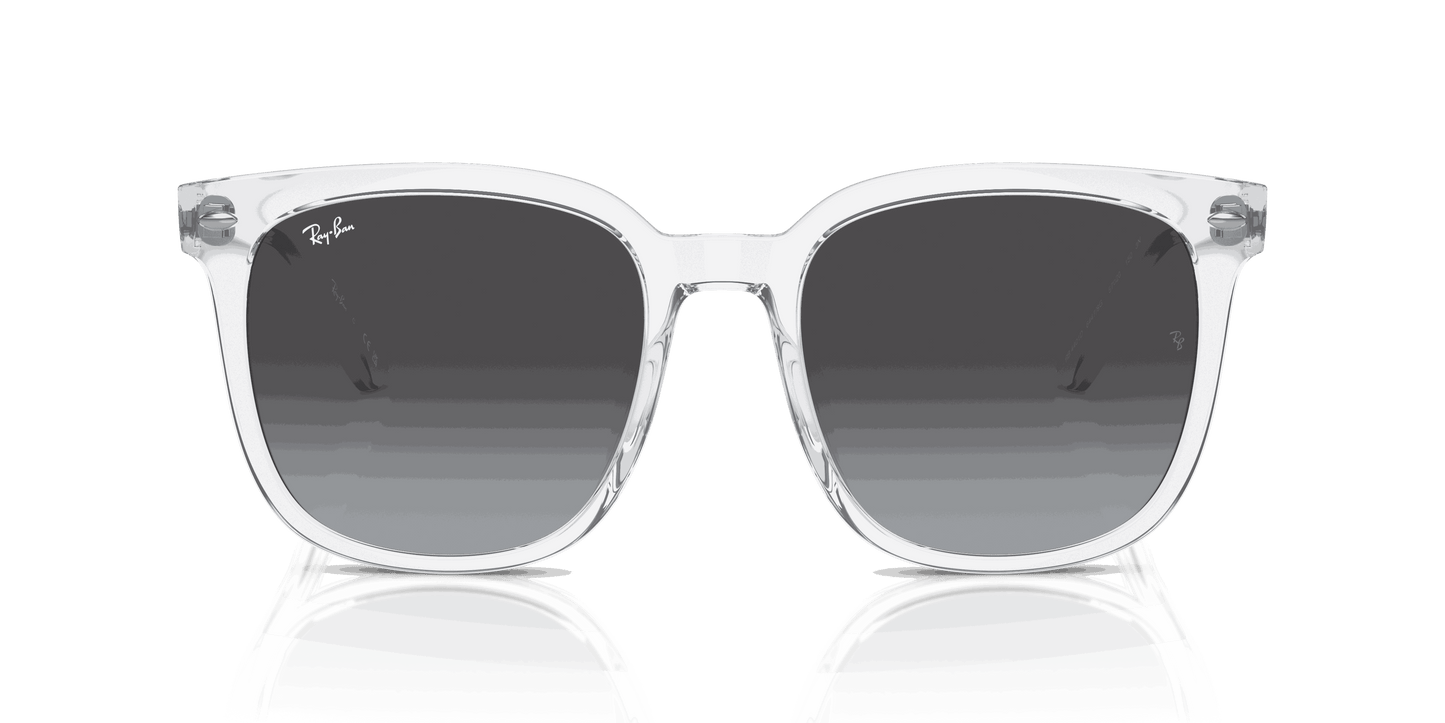[Grey Lenses, Polished Transparent Frame]